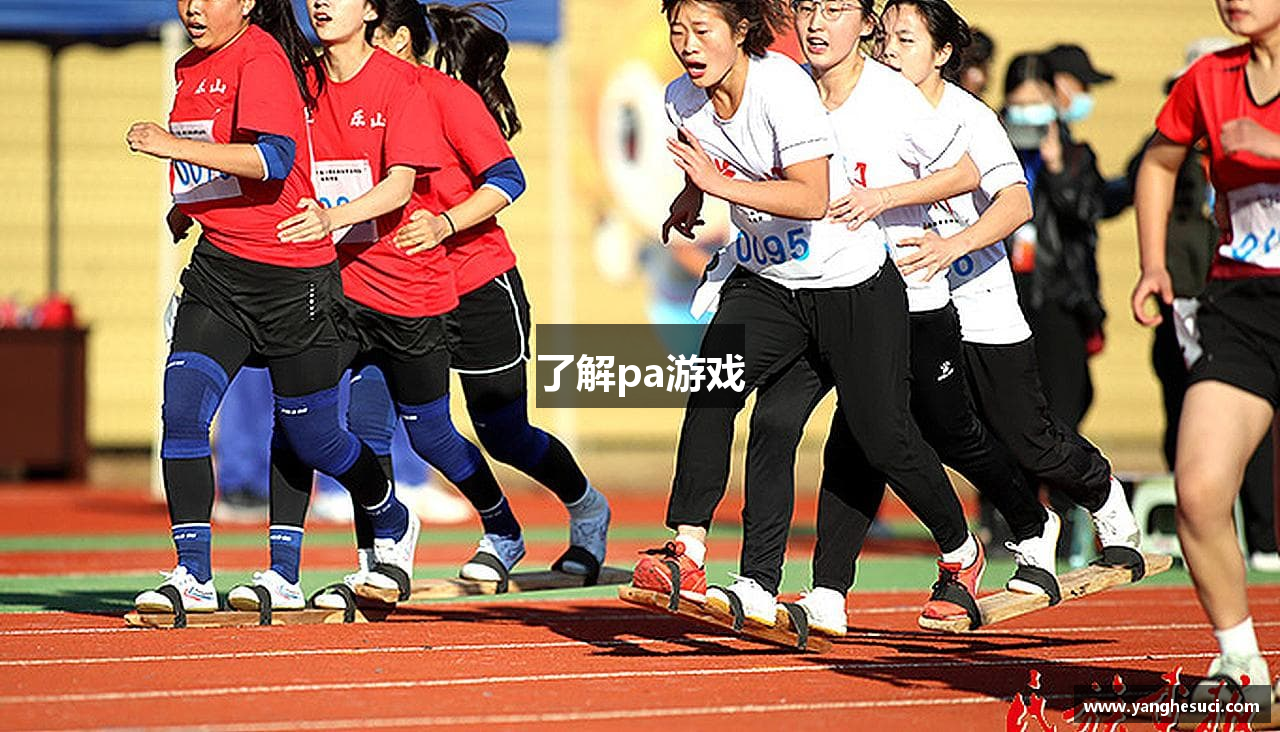 了解pa游戏